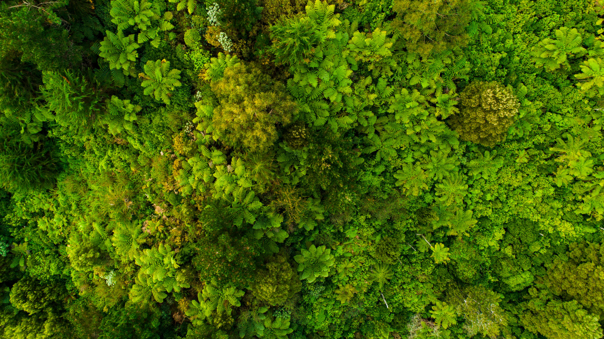 práticas-sustentáveis-recer