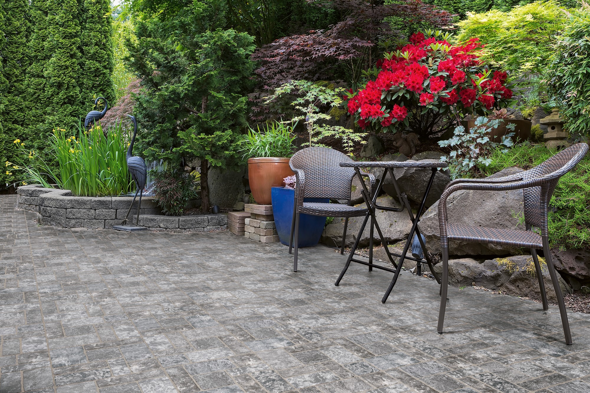 Garden,Backyard,With,Lush,Plants,Landscaping,Pond,Water,Fountain,And