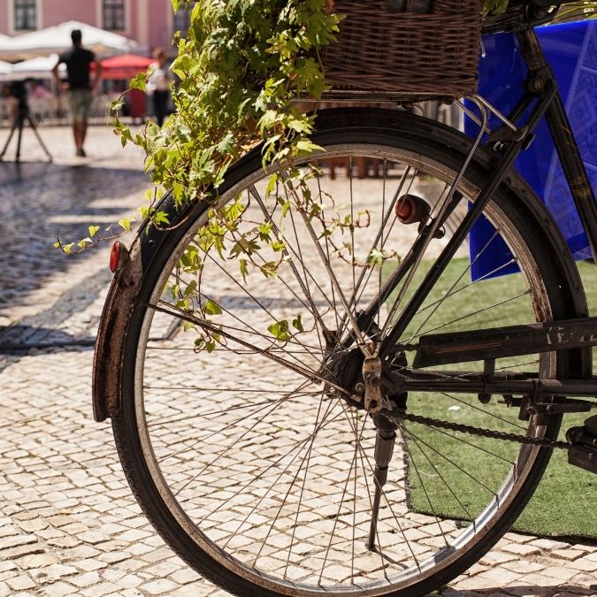 conceito-Aveirense-2